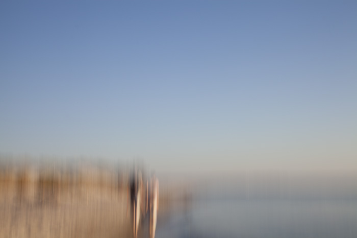 photo series, nature moved, by Charlie Alice Raya