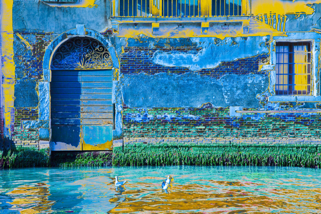 colours, 2011