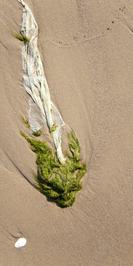 photo series, flotsam and jetsam, by Charlie Alice Raya