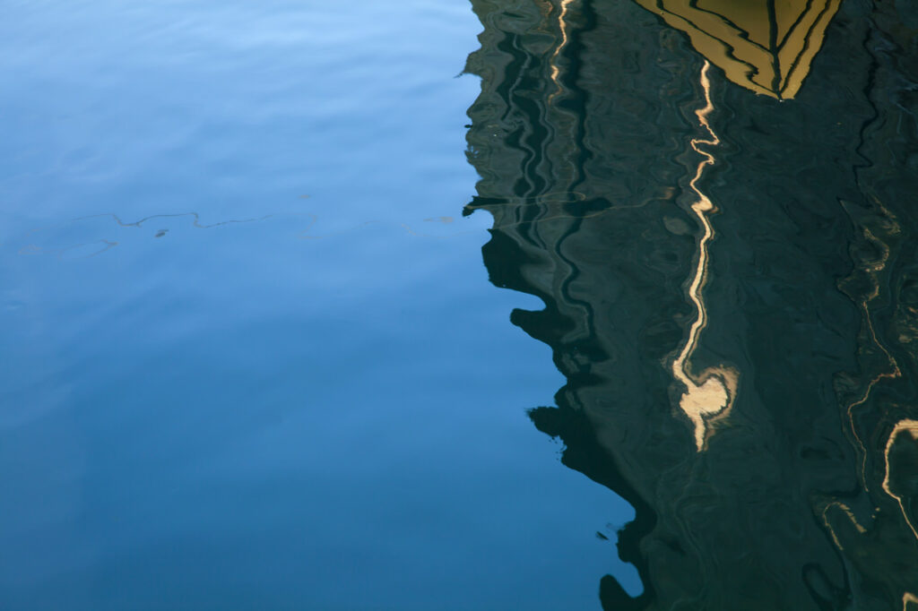 Venice blues, 2011