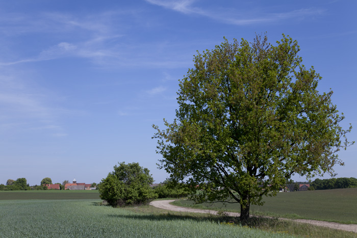 Niederwerbig, Annemirl Bauer, Frauenort