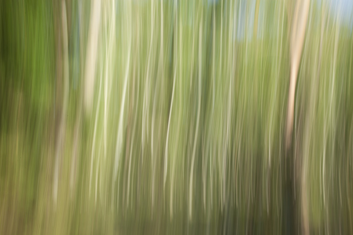 nature moved, study