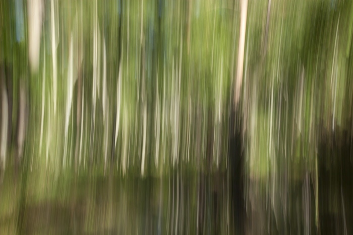 nature moved, study