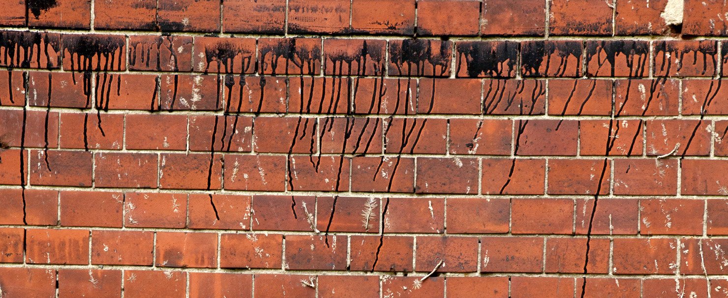 bricks and walls, Charlie Allice Raya
